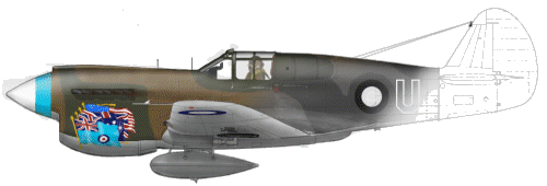  Rendering colour and detail into RAAF P-40's